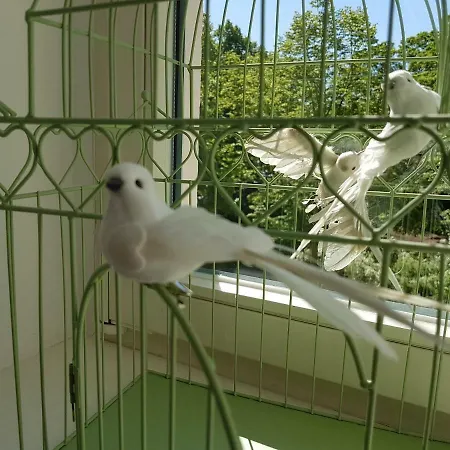 Kleinod Am Park - Zentrum-suedost Appartement *