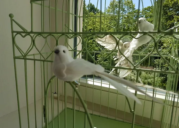 Kleinod Am Park - Zentrum-suedost Appartement *